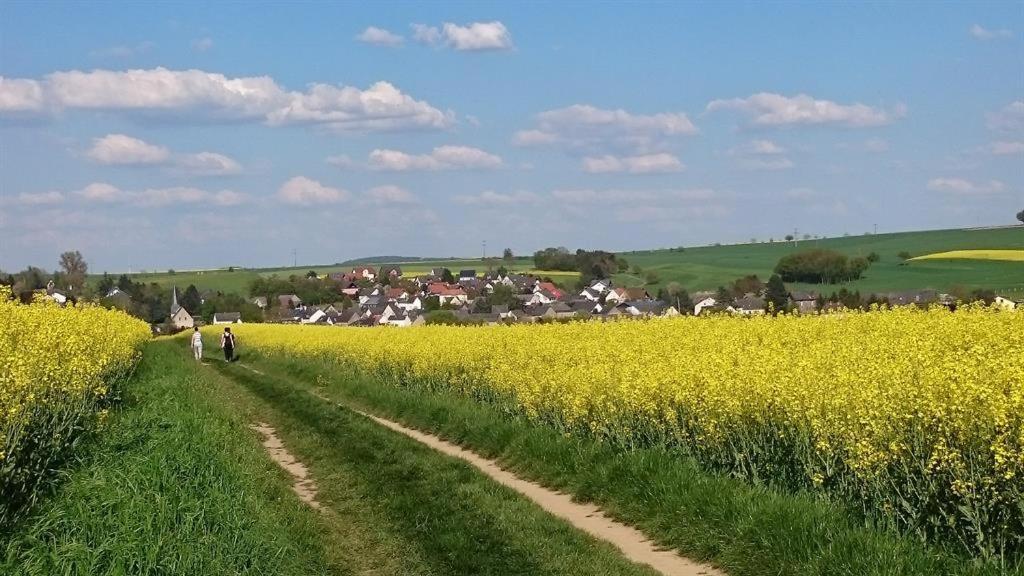 Ferienwohnung Maifeld Wierschem Exteriér fotografie
